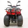 Детский электроквадроцикл GreenCamel Атакама T120 800W R8 20Ah