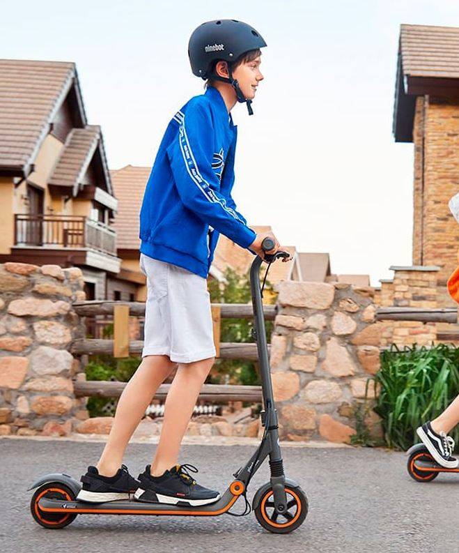 Электросамокат Ninebot KickScooter Zing E12 (Черный)