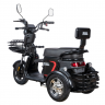 Электротрицикл WHITE SIBERIA SIBTRIKE L 2000W