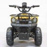 Квадроцикл GreenCamel Гоби K45 (36V 800W R6 Цепь) быстросъем, ножной тормоз