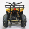 Квадроцикл GreenCamel Гоби K45 (36V 800W R6 Цепь) быстросъем, ножной тормоз