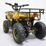 Квадроцикл GreenCamel Гоби K45 (36V 800W R6 Цепь) быстросъем, ножной тормоз