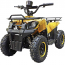 Квадроцикл GreenCamel Гоби K45 (36V 800W R6 Цепь) быстросъем, ножной тормоз