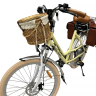 Электровелосипед Elbike MONRO (C12)