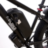 Электровелосипед Elbike PHANTOM Twix (C58)