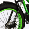 Электровелосипед Elbike PHANTOM Twix (C58)