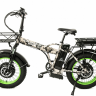 Электровелосипед Elbike TAIGA 3 Twix 2000 cam (C34)