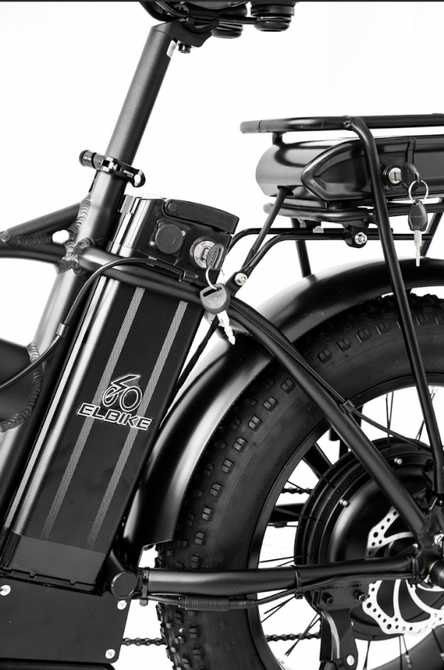 Электровелосипед Elbike TAIGA 3 Twix 2000 cam (C34)