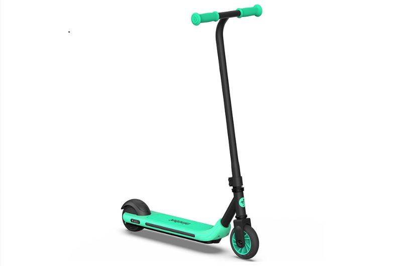 Электросамокат Ninebot KickScooter A6 (Зеленый)