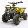 Детский электроквадроцикл GreenCamel Гоби K40 800W R6 12Ah